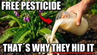 STOP Buying Pesticides: The Amish Make Theirs FREE With This Kitchen Trick
