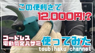 ♯180【これは凄い！】激安の電動剪定ハサミを使ってみた【中華製あなどれない】