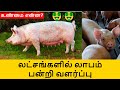 How to start pig farm,pig farm profit in tamil - Pandri Valarpu  பன்றி வளர்ப்பு