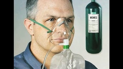 Cobalt League 1v1 Championships Round 4: Beej vs DracTak