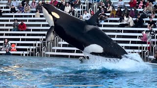 Orca Encounter (Full Show) at SeaWorld San Diego on January 15, 2024