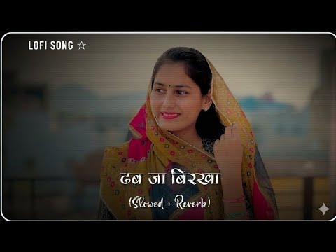 Dhab Ja Birkha Slowed Reverb New Rajasthani Song New Marwadi Song