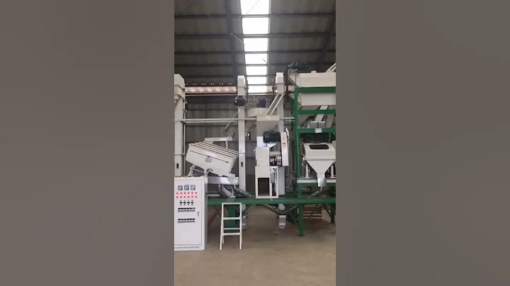 Bucket Elevator with Hopper Price