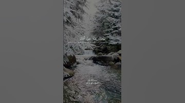 ما تيسر من سورة الذاريات #قرآن #قران_كريم #مصر #السعودية #العراق #المغرب #الجزائر ##tikto #foryou