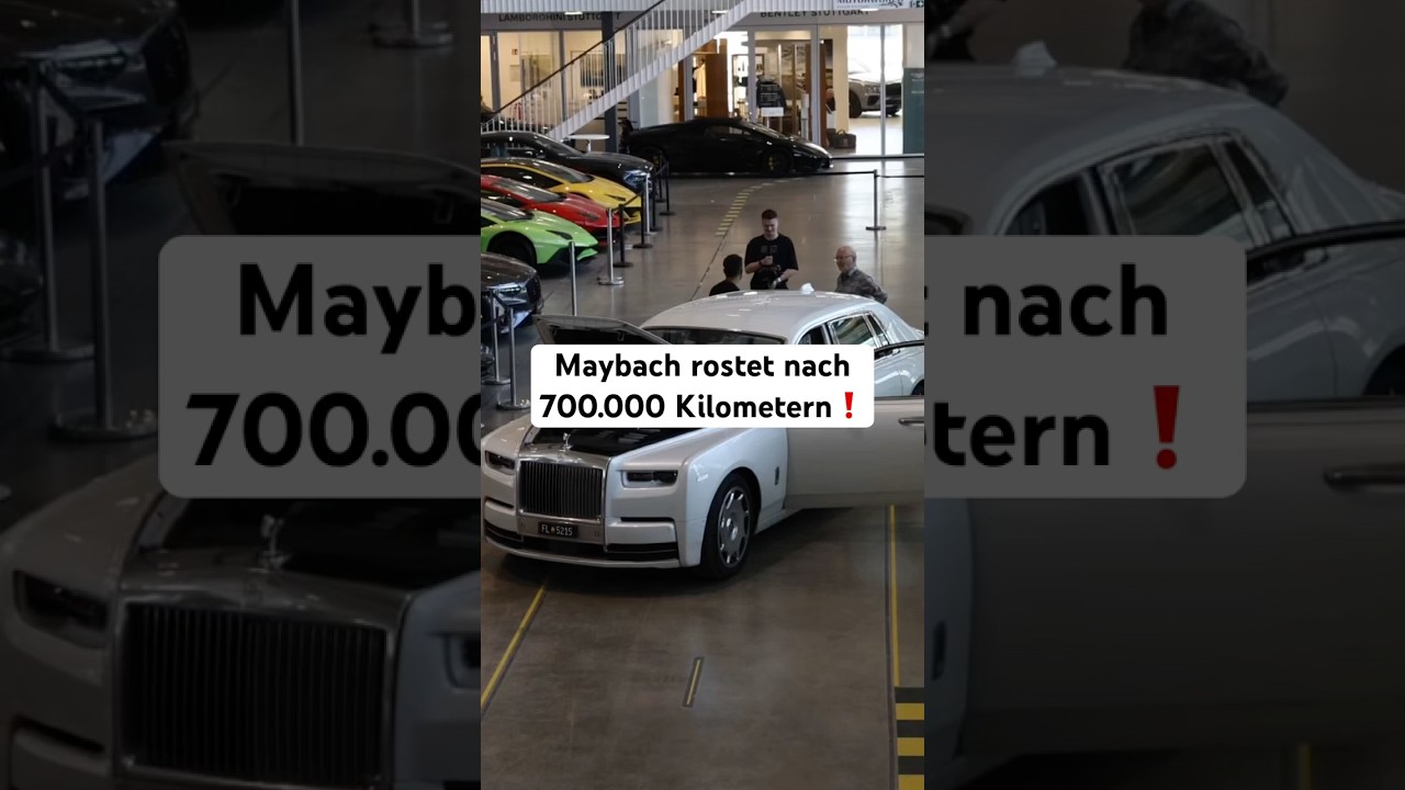 Maybach rostet nach 700.000 Kilometern❗️#hamidmossadegh #autohandel