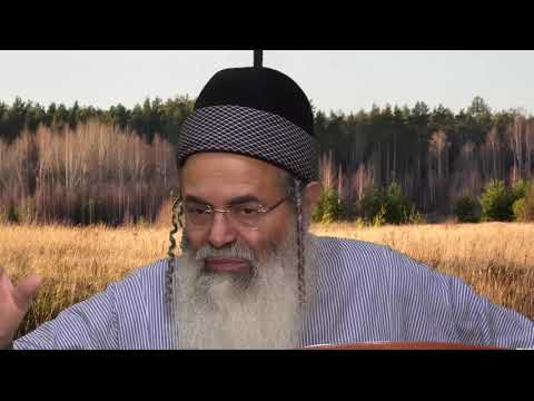 מעשה בחסיד אחד הרב אמנון יצחק שליט א 