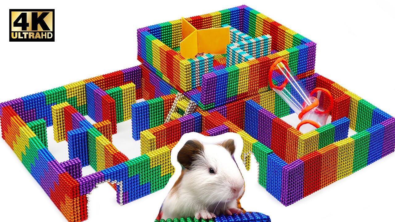 Can he escape? Build 3Level Maze For Hamster From Balls
