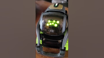 How Smart is Vector Now??? Why don