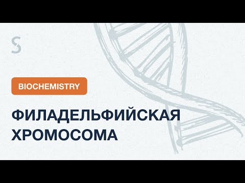 USMLE Step 1