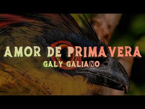Galy Galiano - Amor De Primavera (Lyrics/Letra)