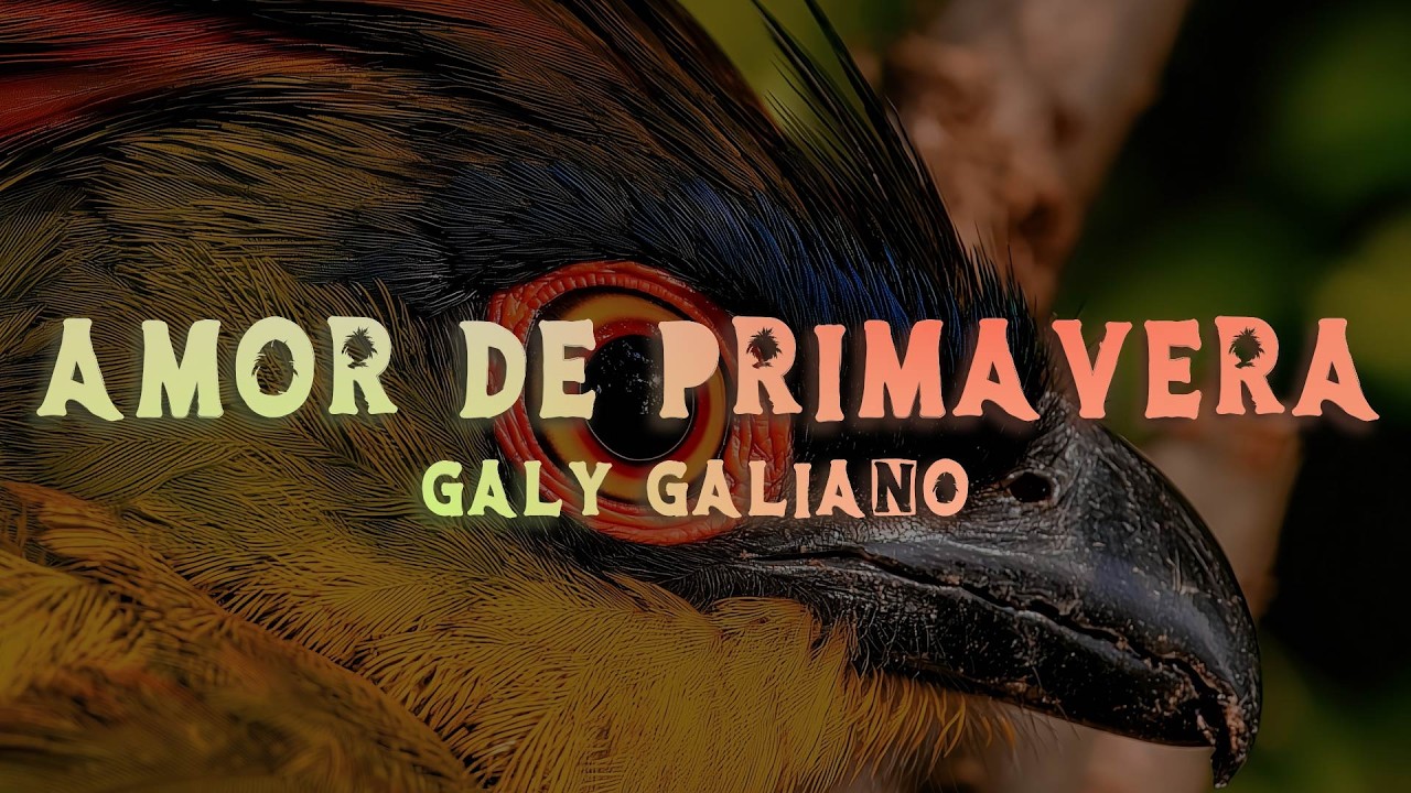 Galy Galiano - Amor De Primavera (Lyrics/Letra)