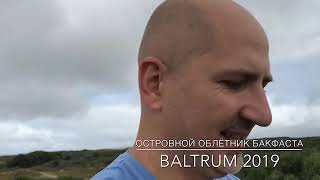 Островной облетник Бакфаста- Baltrum 2019