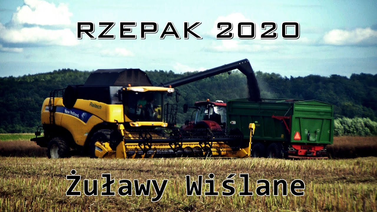 Rzepak 2020 || Nowy Nabytek || New Holland CX 8090