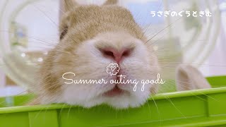 【うさぎのグッズ紹介】夏のお出かけグッズ！