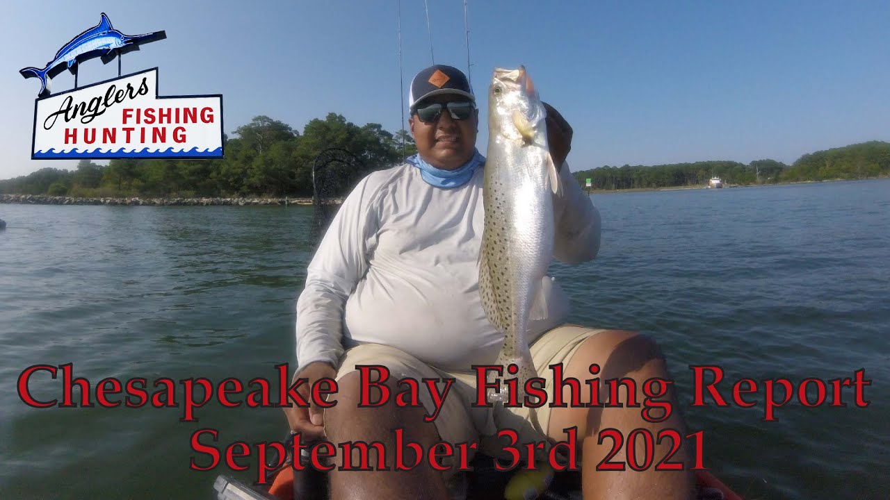 Chesapeake Bay Fishing Report: September 3rd 2021