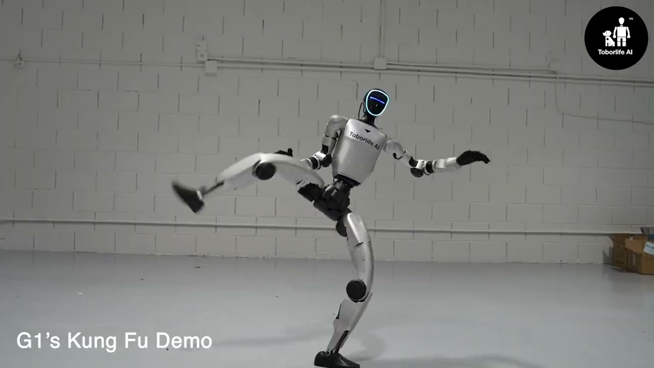 Unitree G1 Edu Plus Humanoid Robot Demo | Toborlife AI