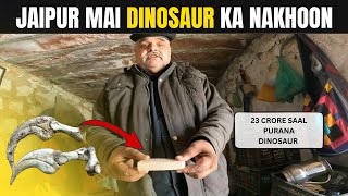 Dinosaur ka Nail mila desert mai 😱 