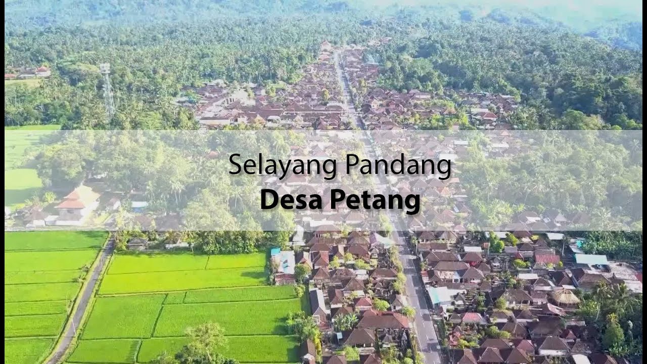 Selayang Pandang Desa Petang