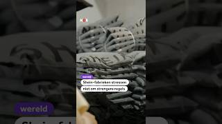 Shein-Fabrieken Stressen Niet Om Strengere Regels