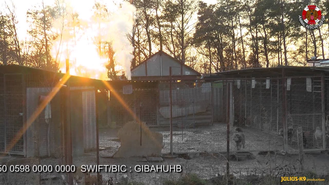 harnessing mineral resources Julius-K9® - Protección a los animales, refugio de animales