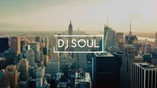 Radha- jab Harry met sejal (DJ SOUL REMIX)