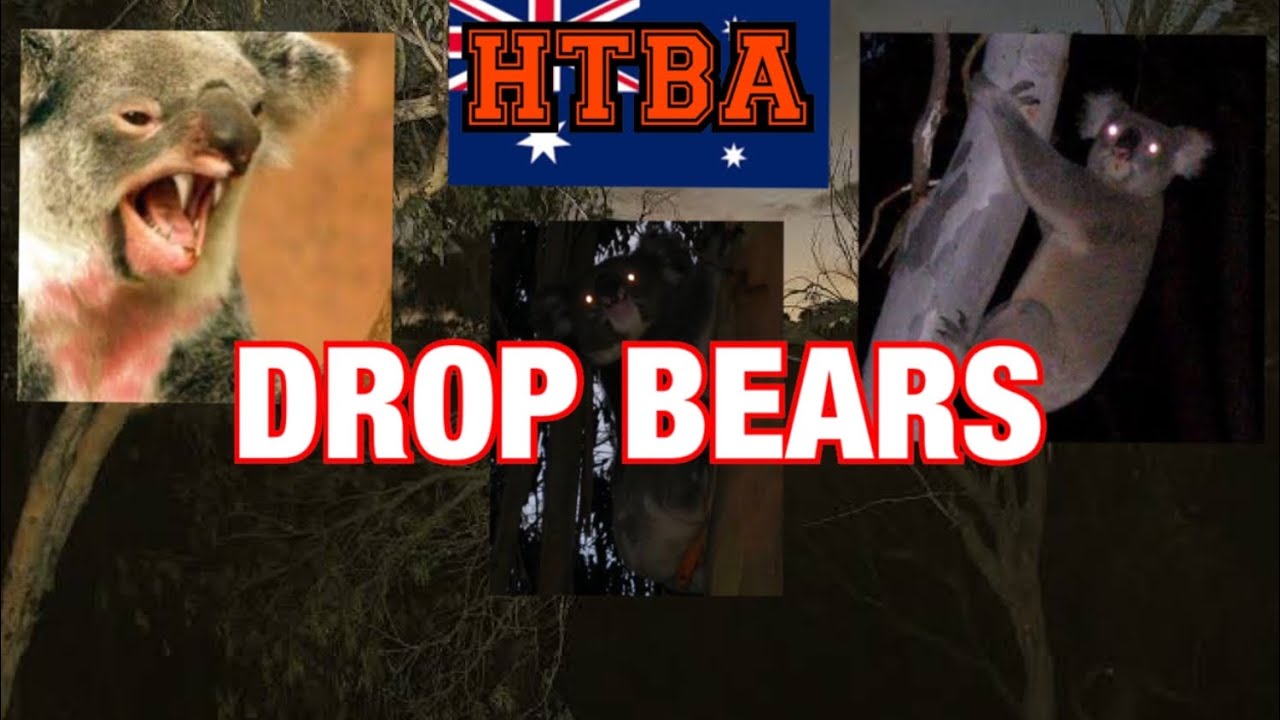 (2) HTBA What Are Drop Bears? YouTube