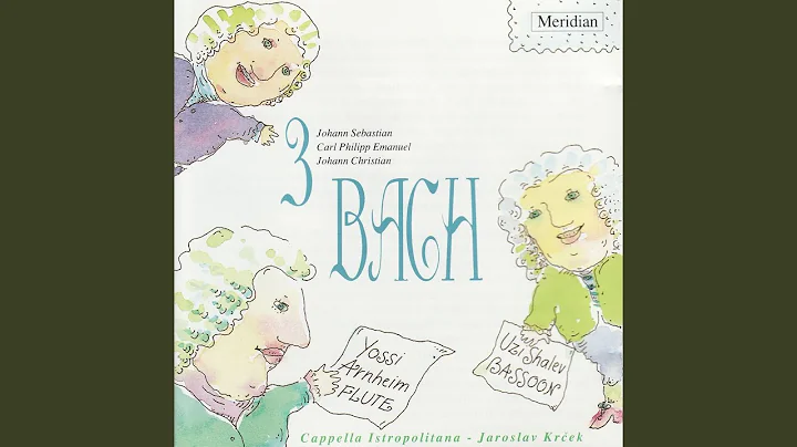 Flute Concerto in D Minor, H.484.1: III. Allegro di molto