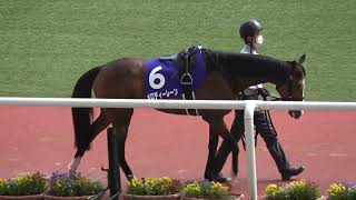 天皇賞(春)】 2022天皇賞(春) タイトルホルダーが勝利 全頭