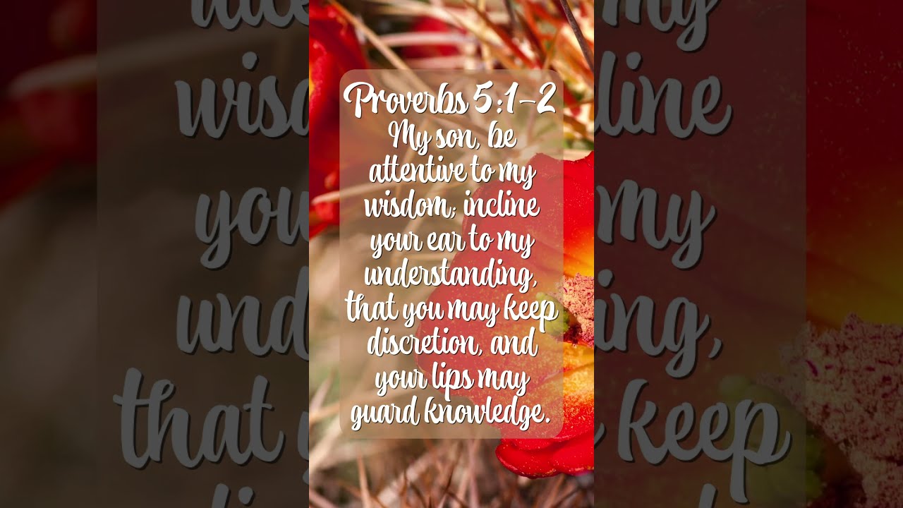 Proverbs 5 1 2 YouTube Proverbs 5 1 2 YouTube