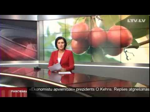 Video: Citrusaugļu ziedēšanas sezona: kad zied citrusaugļu ziedi