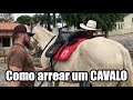 Como arrear um CAVALO