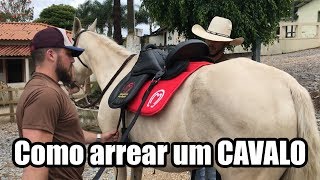 Como arrear um CAVALO