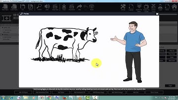 Basic Structure Of Whiteboard Animation