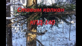 Охота капканами.Охота 2017. КПД-140 Охота капканами.Охота 2017. КПД-140