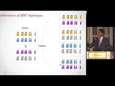 Brigham Renal Board Review,  rejection and immunology