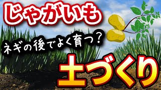 #3.【春じゃがいも】ネギの後はよく育つ？【家庭菜園】スコップ1本でふかふか土をつくります！