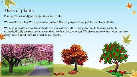 Std 4th , E.V.S 1  chap.2 The Inter- relationship between Living Things (part 1)