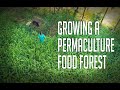 Aanandaa Farms: The joy of growing a food forest using Permaculture Farming