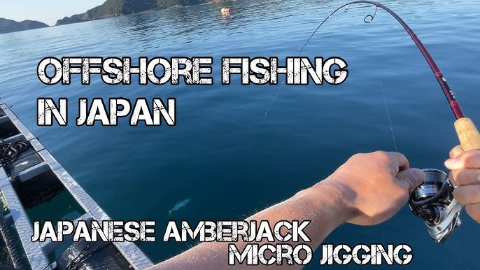 Bait Finesse Light Rock Fishing in Japan - BFS LRF Free Rig 