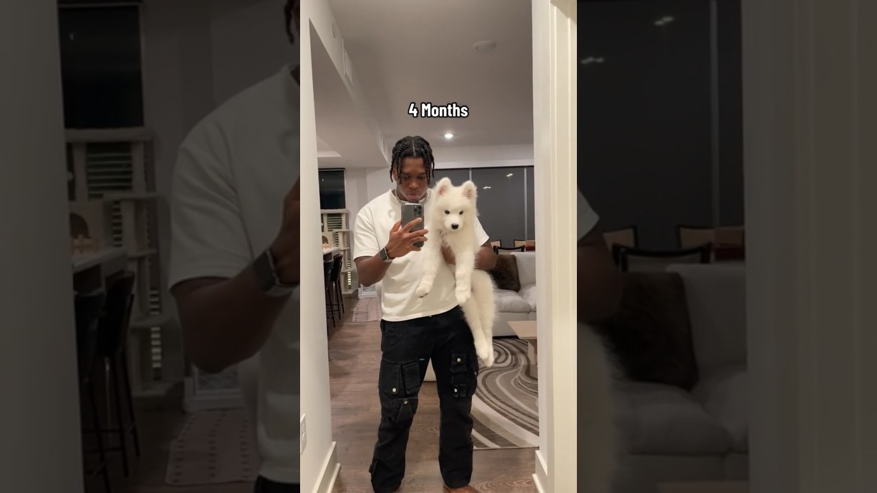 Watch this Samoyed Puppy’s UNREAL Growth!😨😱