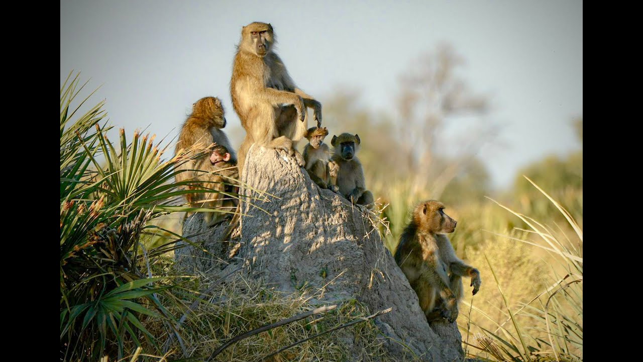 AFRICA with EPIC PRIVATE JOURNEYS