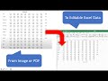 Import fully editable data from PDF / pictures into Excel