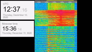 The Buzzer/UVB-76(4625Khz) December 10th 2020 Voice messages