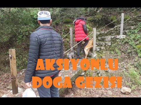 Cinli Mağaraya Pitbull ile daldık | Eğlence ve Aksyon  dolu anlar