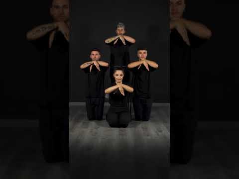 Can you follow our hands