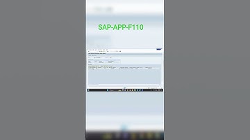 Automatic payment program F110 Errors analysis part 5 # SAP FICO # CO #sap