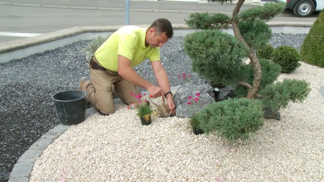 Jardinier paysagiste cration despace vert  Metz  DAVID CREATION PAYSAGISTE