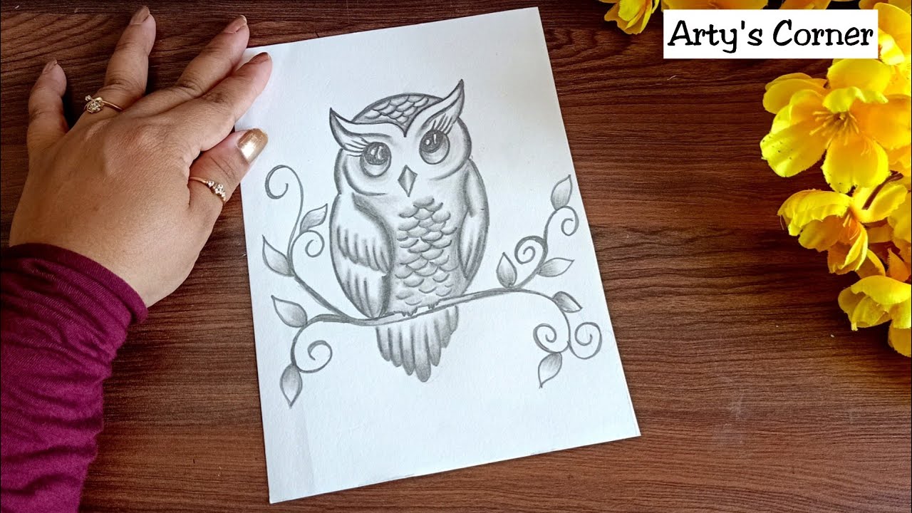 Owl drawing easy step & draw images