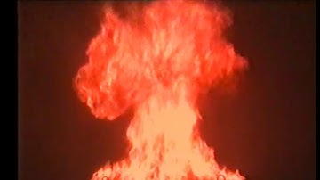 Fogex Presentation Video