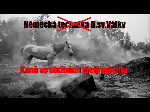 NĚMECKÁ TECHNIKA II.sv.války: Dnes bez motoru. Připomeňme si nezanedbatelnou roli koní Wehrmachtu.